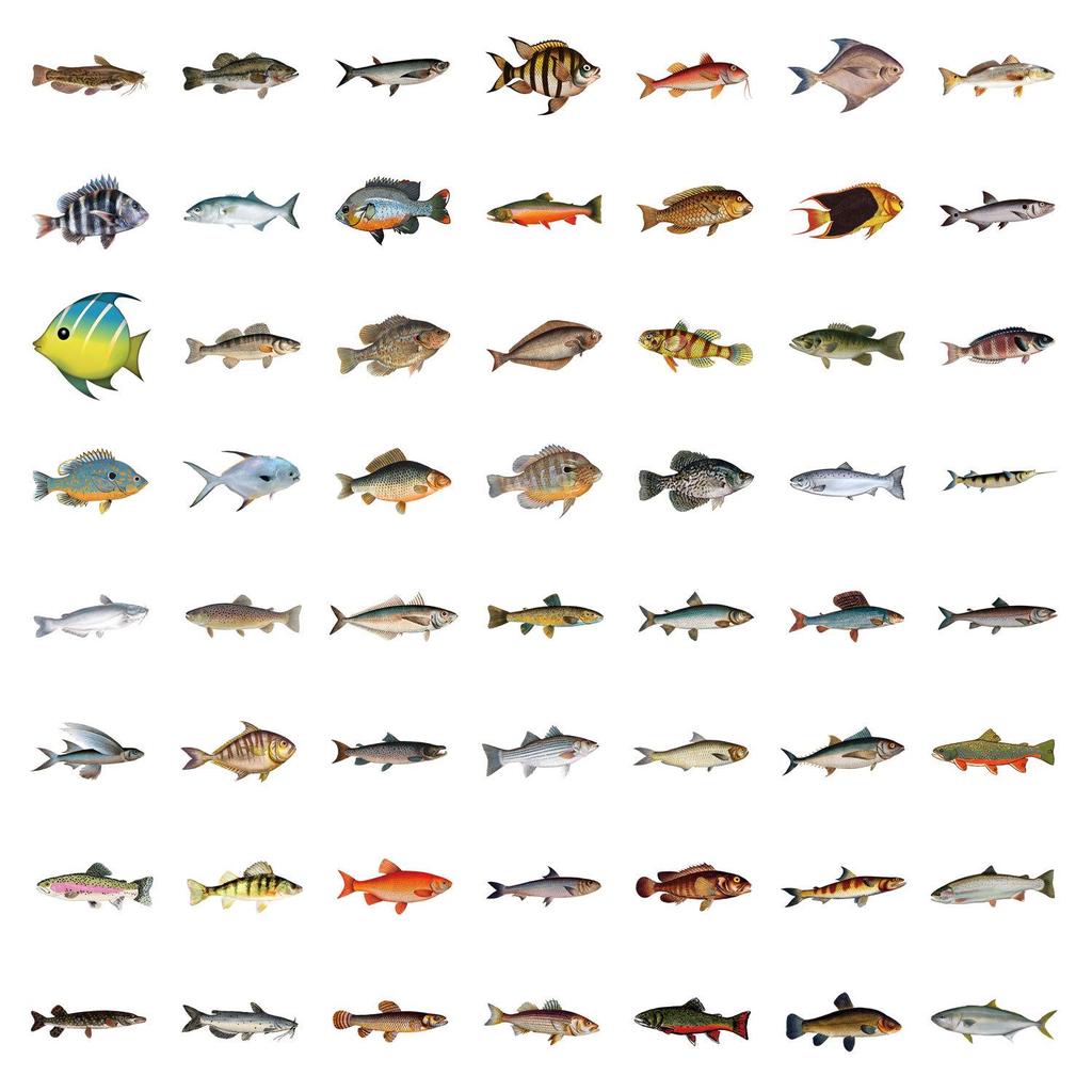 55 Waterproof Cartoon Fish Stickers for Journals, Water Bottles, and Laptops