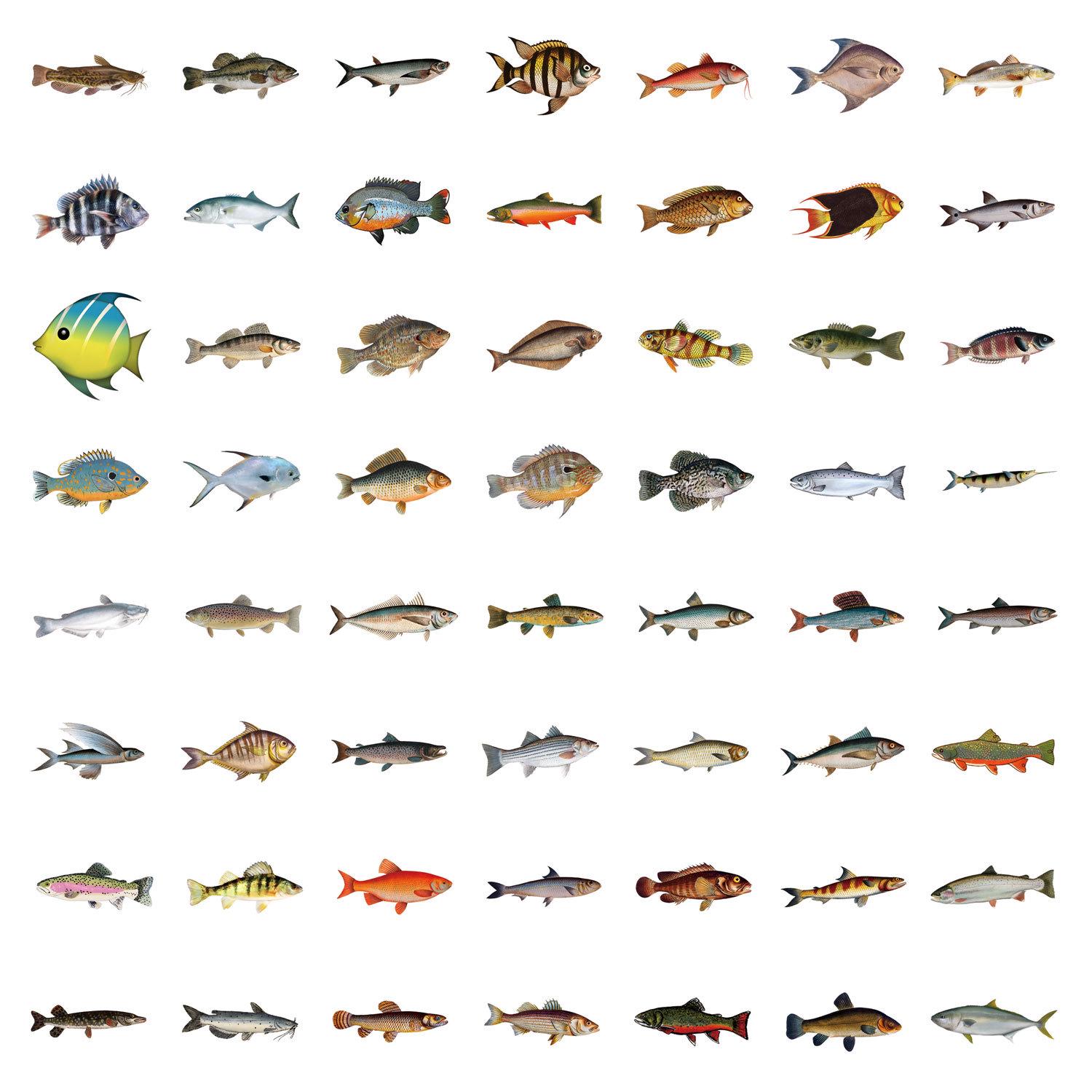 

55 Waterproof Cartoon Fish Stickers for Journals, Water Bottles, and Laptops