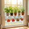 High Transparency Acrylic Plant Rack for Window Gardens Multipurpose Plant Holder Stand For Growing Vegetables