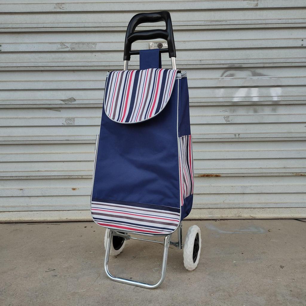 Carro Plegable Ligero para Personas Mayores - Carrito Portátil para Compras, Equipaje y Transporte