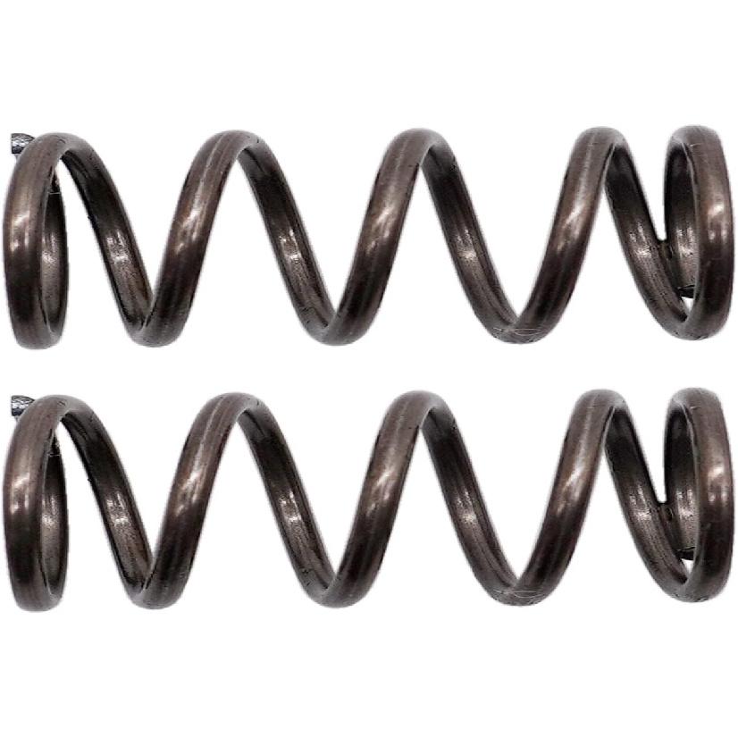 22LBS Valves Springs for Honda GX120/GX200/Clone/Predator 2 PCS