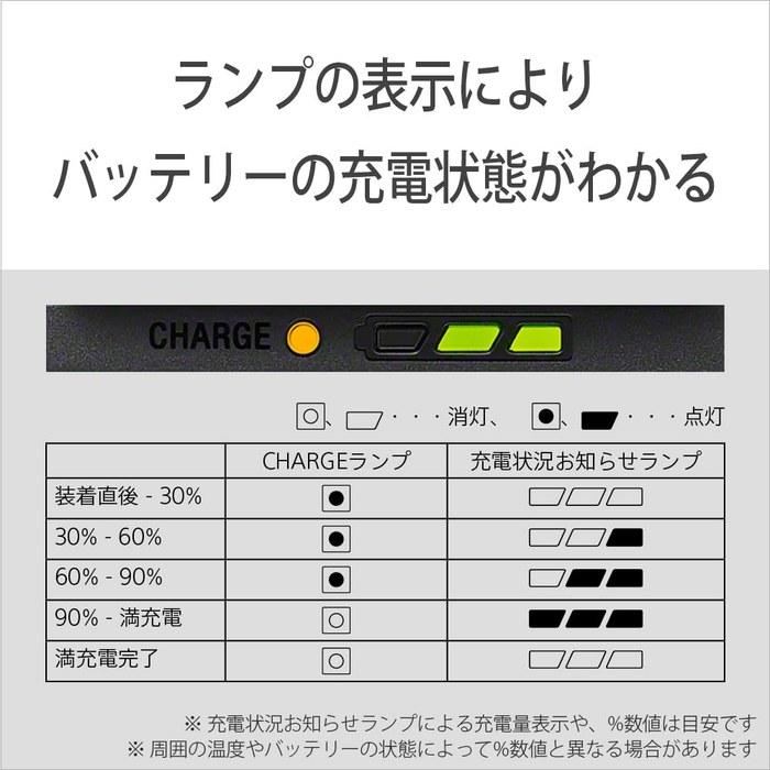 Sony Camera Battery Charger BC-ZD1