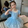 Children's Ballet Dance Dress Summer Girls Practice Clothes Princess Mesh Fluffy