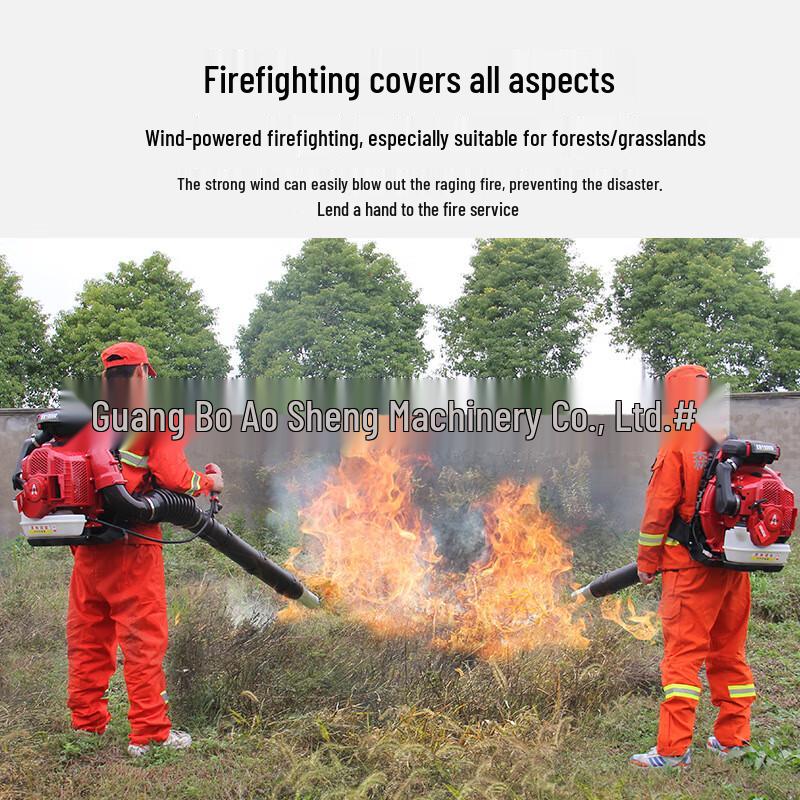 High-Power Two-Stroke Electric Start Multi-Functional Blower CN plug (adapter included)