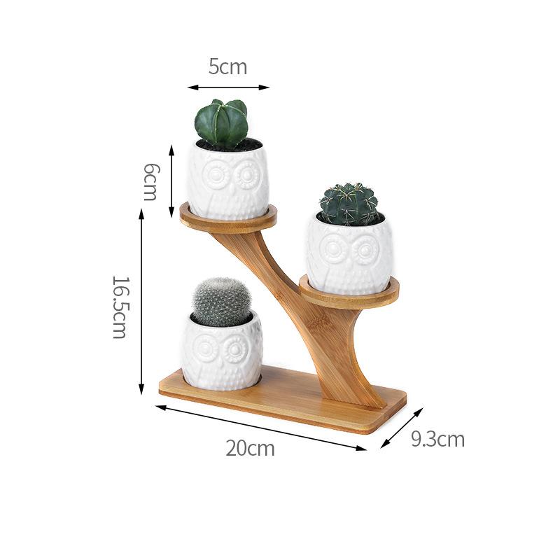 Plant Shelves Flower Display Stand Creative Succulent Plant Owl Pumpkin Bamboo Frame Ceramic Flowerpot Plant Tray