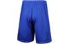 Under Armour Shorts Men's Royal Blue 22500202-400