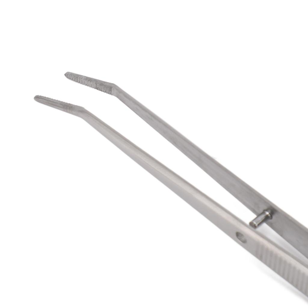 5pcs Professional Oral Health Care Pick Tools Stainless Steel Teeth Cleansing Calculus Remover Tool for Dentist