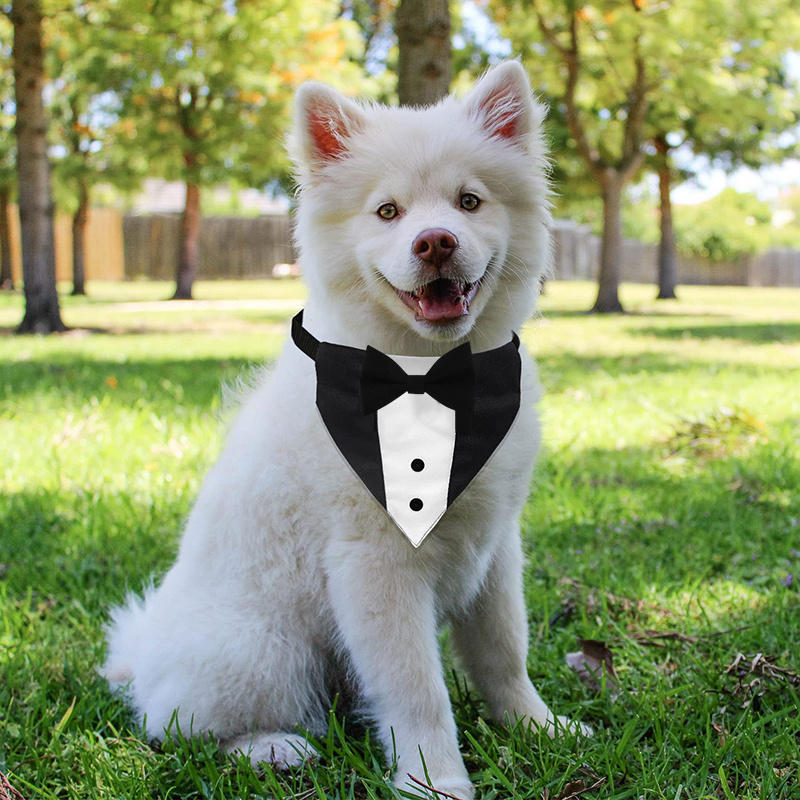 Formal Dog Tuxedo Suit Wedding Dog Collar with BowTie Adjustable Pet Wedding Collar Birthday Bandana for Small Medium Large Dogs