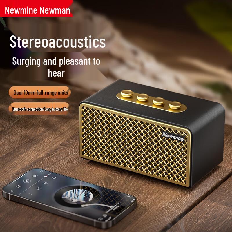 Newmine Portable Bluetooth Karaoke Speaker