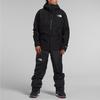THE NORTH FACE Jacket Men's Black NF0A82V9-JK3