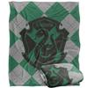 Harry Potter Slytherin Blanket