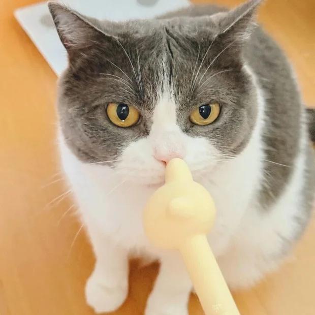 Cute Usagi Command Stick: Pointing Finger for Children's Reading & Teaching