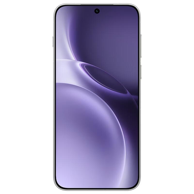 vivo X300 Pro 5G AI Smartphone (CN version)