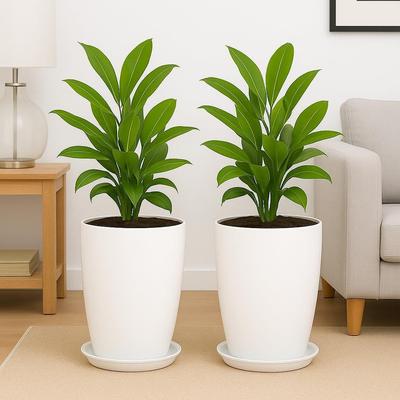 Înflorește 12 Inch (Set de 2) Ghiveci Alb Solid| Ușor și Durabil pentru Interior/Exterior | pentru Plante/Flori de Dimensiuni Mari | Ghiveci