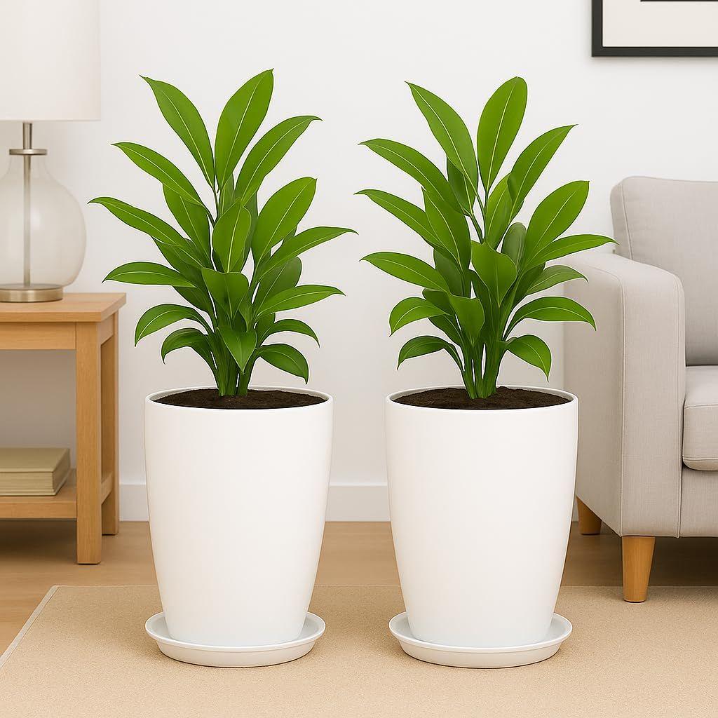 Blossom 12 Inch (Set of 2) Solid White Flower Pot| Lightweight & Durable for Indoor/Outdoor | for Big Size Plants/Flower | Flower Pot