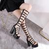 Fashion 14.5CM Brand Woman Heels Sandals For Wedges Shoes Roman Cool Fashion Punk Gothic Sandals Gladiator Platform With Zipper