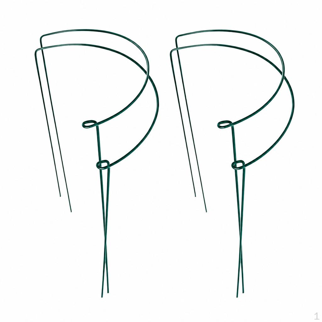 Iron Art HalfRound Plant Support Stakes for Climbing Plants, Orchids, Hydrangeas, and Roses