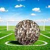 1pc Dog Cat Friendship Theme Soccer Ball Football, Size 5, Lightweight PVC, Durable Outdoor Training Soccer Ball, Gift M61434