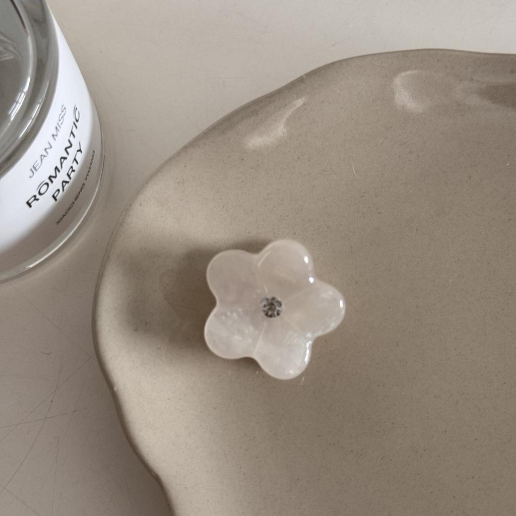 2Pcs Floral Acetic Acid Small Grab Clip Fashion Hairpin Fresh Mini Floral High-end Princess Head Cute Hair Accessory