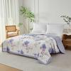 An Shuibao Antibacterial Cotton Summer Quilt