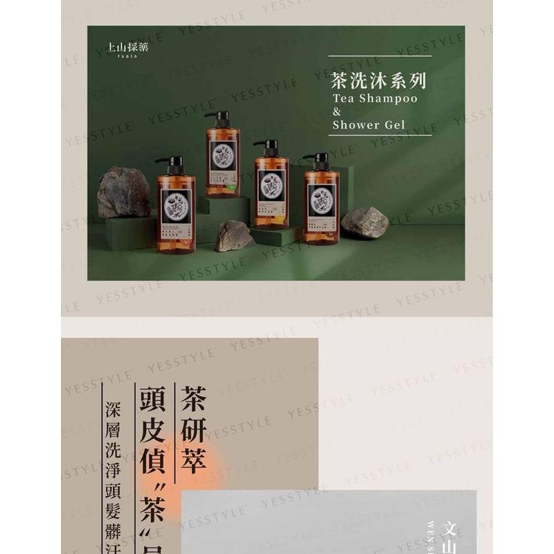 SOFNON - Tsaio Wen Shan Pouchong Teeölkontrolle Shampoo