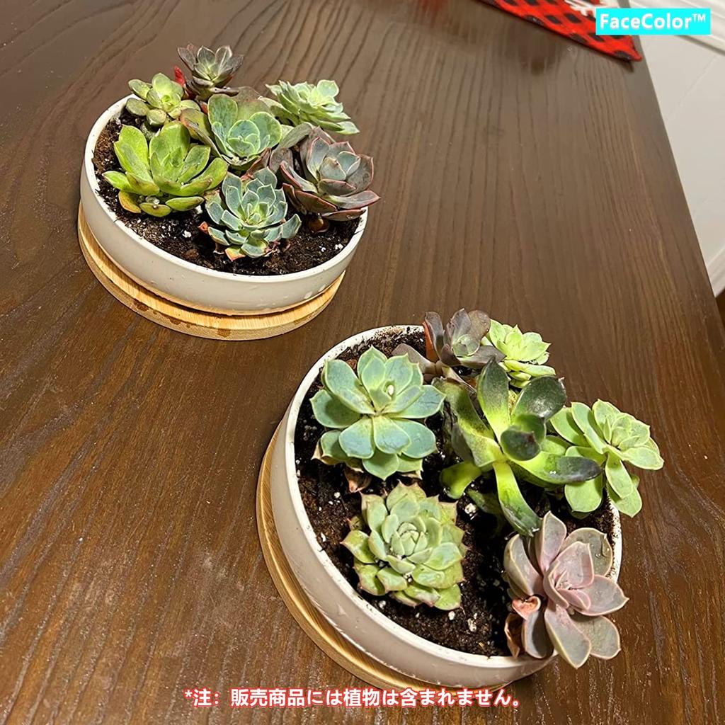 Gesichtsfarbe Keramik Weiß mit Loch und Kaktus Rund Mini Living Garden Set 2-teilig Ohne Topf, Keramik, Untertasse, Pflanzgefäß, Topf, (Größe 16165.5 CM), Bonsai,