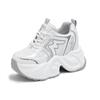 Silver Platform Dad Shoes Women's Shoes 2025 New Autumn Breathable Small Man Height Increase Casual Versatile Sports Shoes