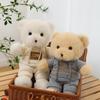 Plush Teddy Bear Doll in Hoodie - Sitting Version, High-Grade Wedding Toy