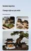 Miniature Chinese Courtyard Rockery Aquarium Ornaments