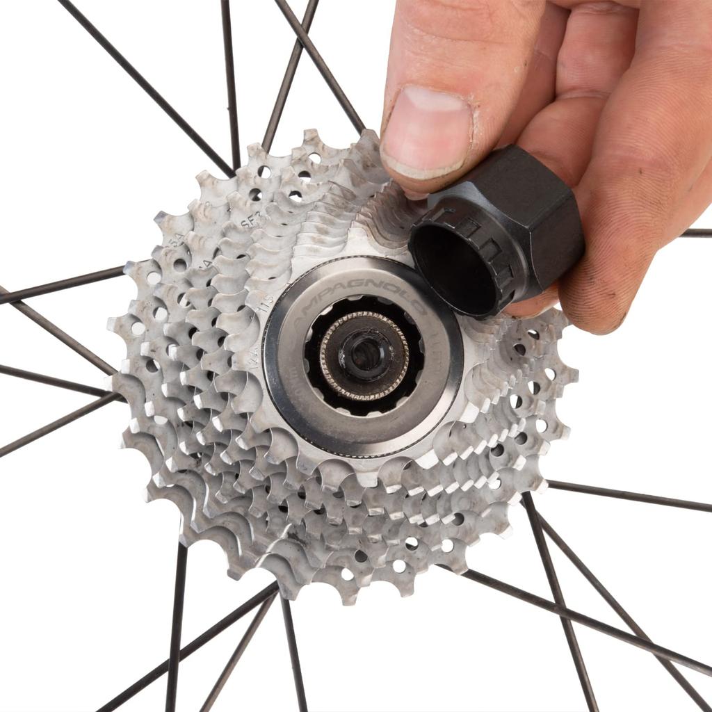 PARKTOOL Bottom Bracket for Campagnolo BBs BBT-5 Tool, 12-Notch, Free/Cartridge