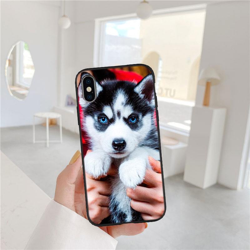 CJ66 Husky Puppy Dog Soft Shell Phone Case for Samsung Galaxy S20 S21 S22 Ultra FE + Plus A21S A22 A24 A25 A26 A30 A30S A31