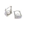 High-End Cubic Zirconia & Pearl Earrings for Women - Stylish, Versatile, and Unique Pearl Ear Ornaments