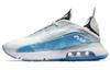 Air Max 2090 Ice Silver CZ8693-011