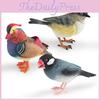 Animal Model Desktop Decor With Plastic Material For Educational Display And Bird Enthusiasts
