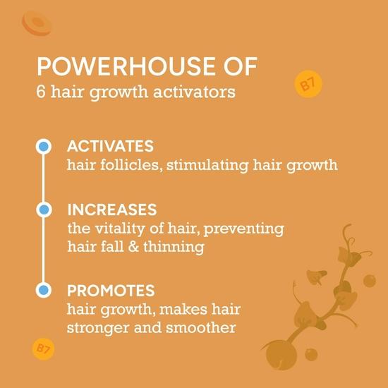 CITTA Hair Growth Serum | Boosts Hair Growth, Activates Follicles & Prevents Thinning | Biotin, Rosemary & Fenugreek Oil | 50ml