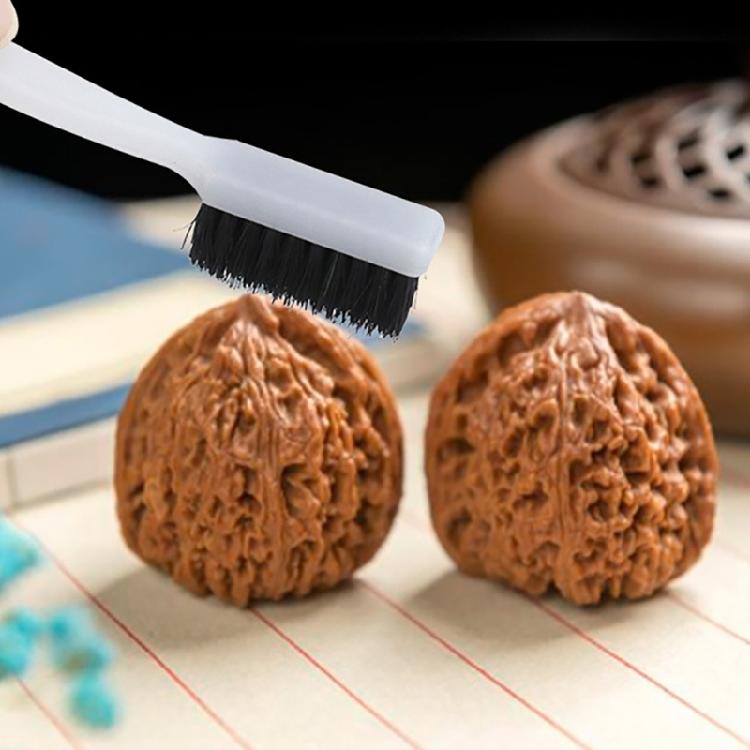 Medium Hard Bristle Brush Ergonomic Handle Not Slip Handle Brush for Gentle Polishing & Maintenance of Collectible Items