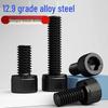 Grade 12.9 M10 Hex Socket Cap Screws
