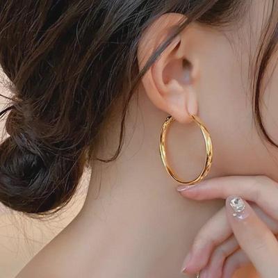 French Metal Hoop Earrings - 2023 New Style, Unique Temperament, Plain Design for Ladies