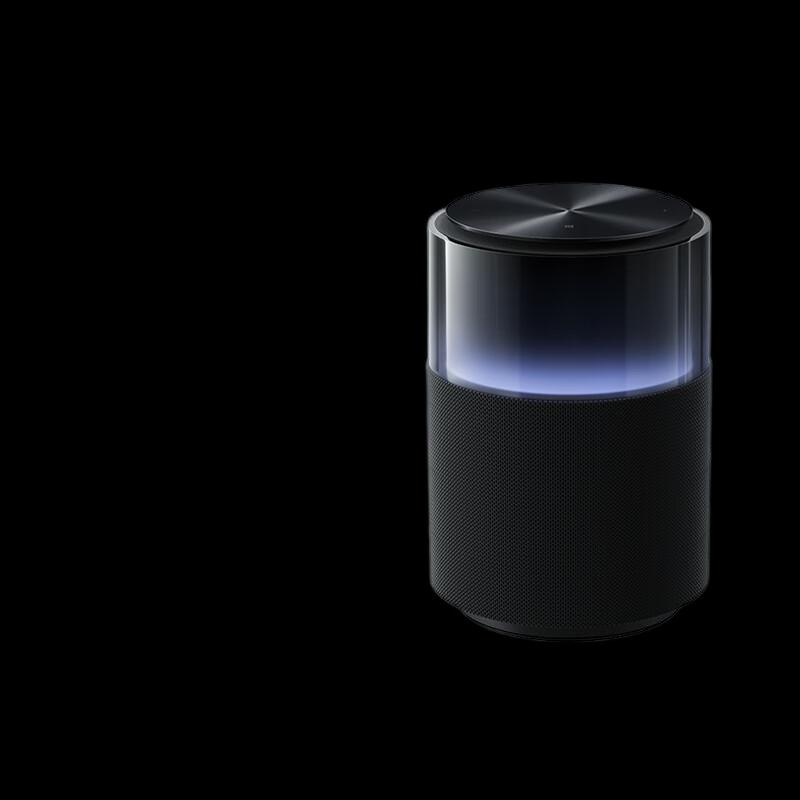 

Xiaomi Sound Pro Smart Speaker