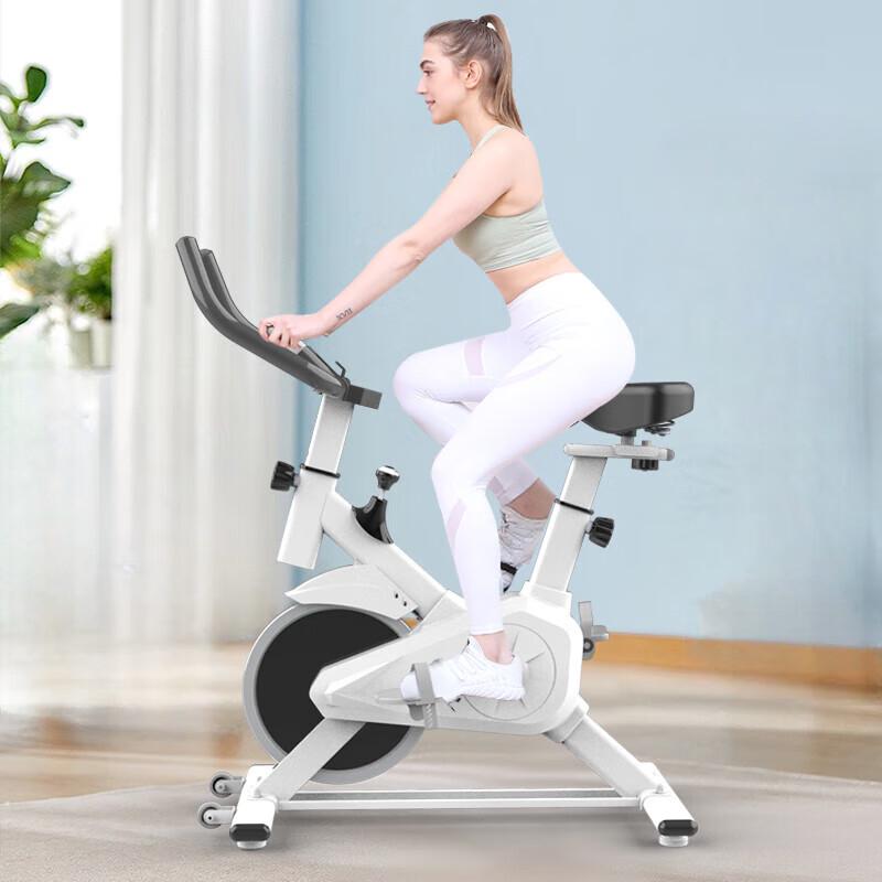 HongTai Q5 Magnetic Exercise Bike