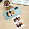 3D Cat Belly Sponge Stickers Fun Reusable Decals Cute Laptop Stickers for Kids Friends Indoor Outdoor Fridge Planner Home Car