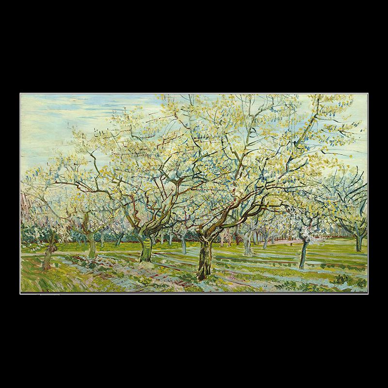 Skyworth W55D 55-inch 4K UHD 120Hz Mini LED Wallpaper Smart TV (CN version)