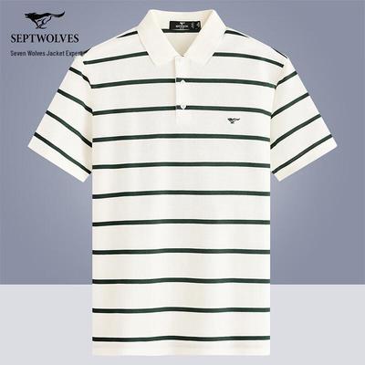 Erkek Çizgili Polo Tişört
