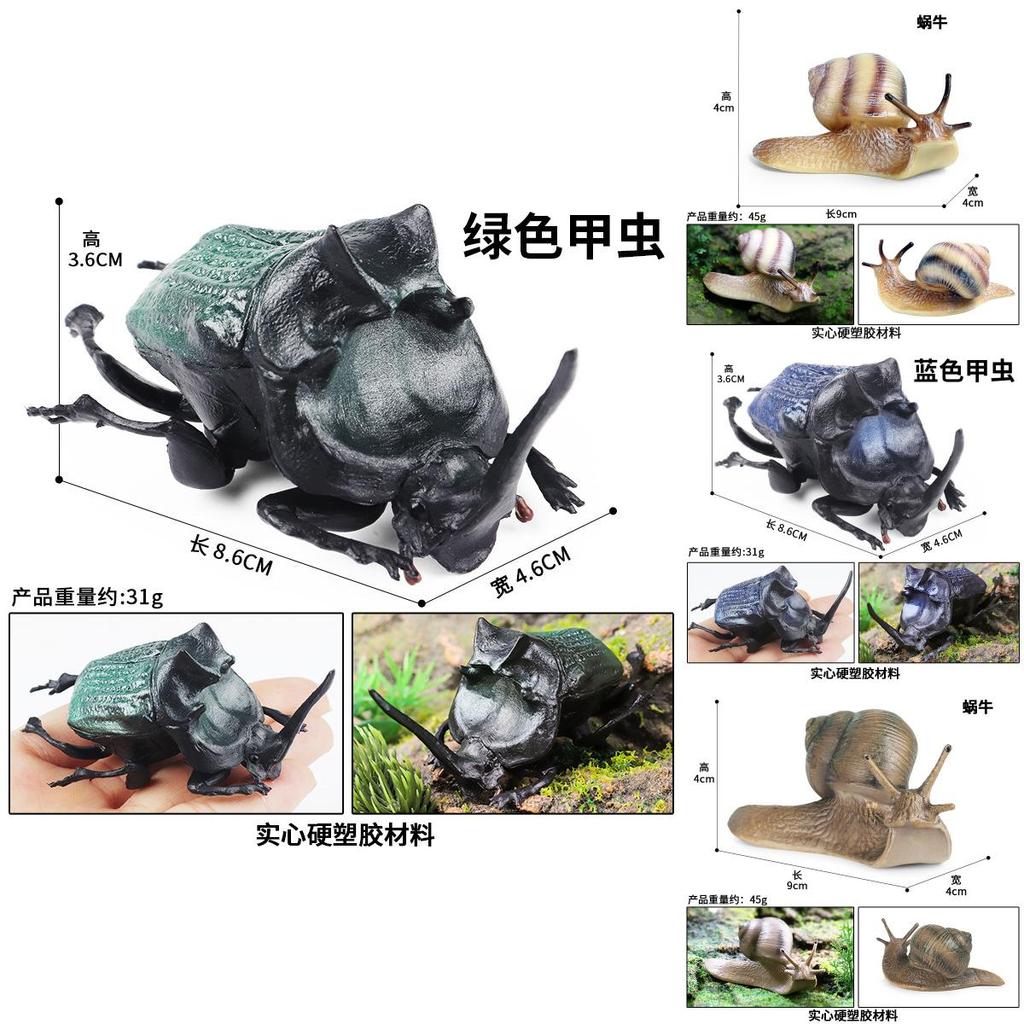 Childrens Educational Animal Model Toy Plastic Realistic Snail Garden Decor For Kids Learning