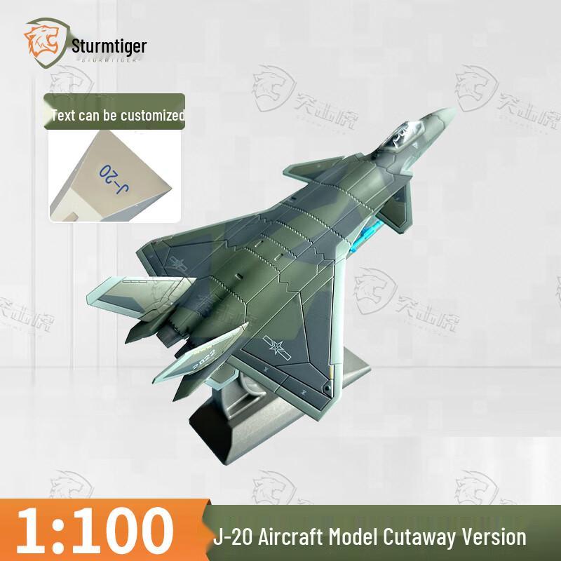Assault Tiger J-20 Fighter Jet Model