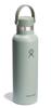 Standard Mouth 21oz (621ml) Agave Stainless Steel Water Bottle (Official Japanese Product)