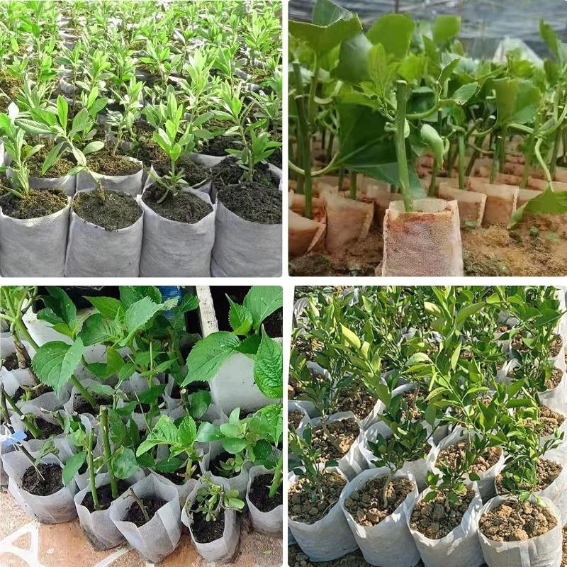 Degradable Non-woven Plants Nursery Bag for Flower Fruit Vegetable Sapling Seed Bags Growing Pots Planting Pouches Garden Tools