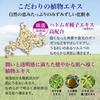 <Set of 2> Hanajirushi Hatomugi Lotion 500ml Moisturizing Lotion for Face and Whole Body Wiping Keshosui Men's/Women's Unscented Large Capacity Transp