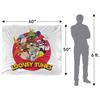Looney Tunes Group Shot Blanket