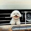 Yousheng Car Outlet Ventilation Perfume Clips 2D Acrylic Auto Air Vent Clip Cute Smiling White Dog Hanging Ornament with Fragrance Diffuser